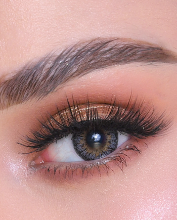 PB Gris lentilles de contact de couleur trimestrielles Soft Vision®